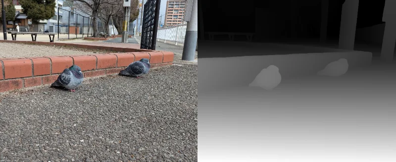 ハト SDS比較